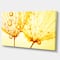 Designart - Dandelion Seeds with Water Drops - Floral Canvas Art Print